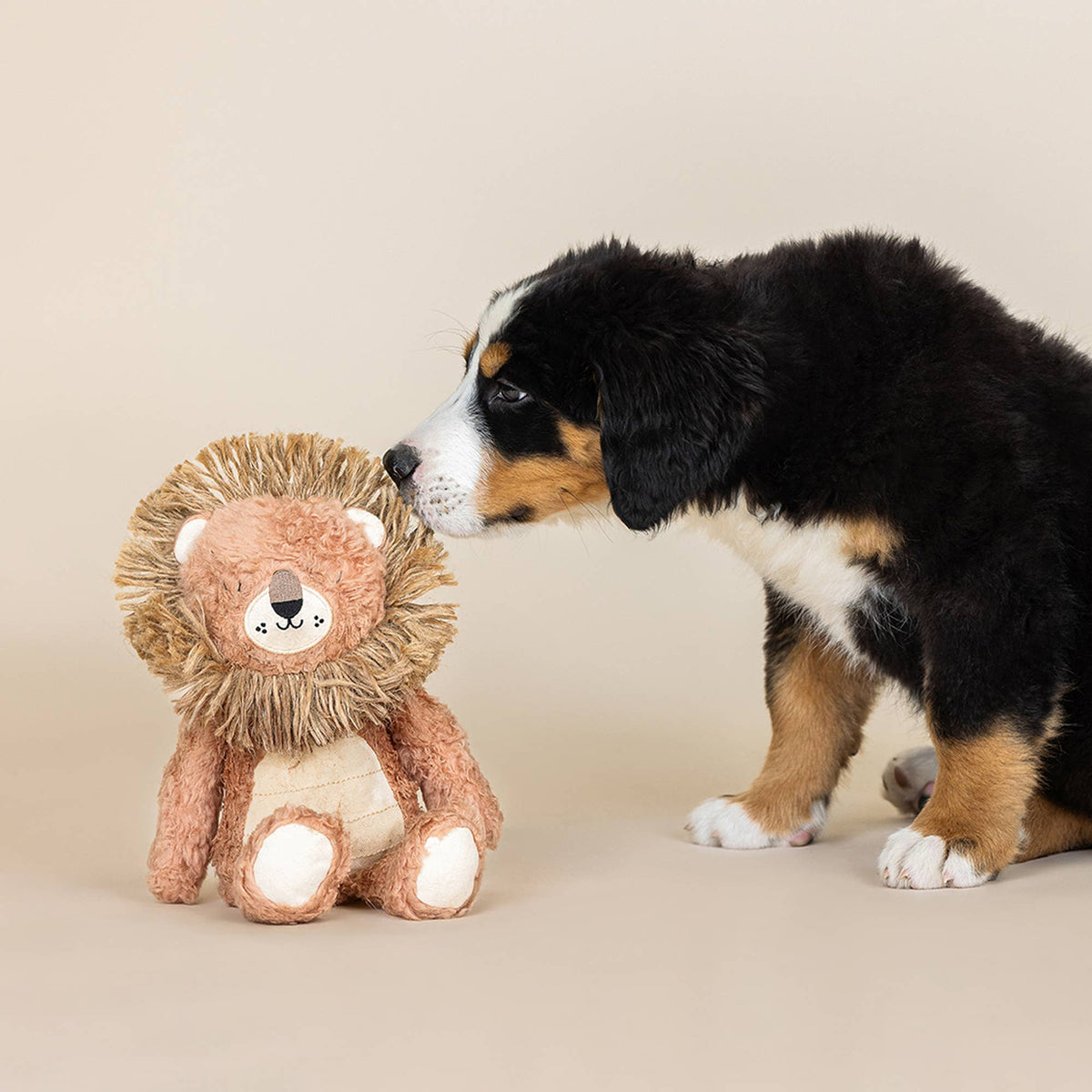 EARTH FRIENDLY DOG TOY MIGHTY MANE