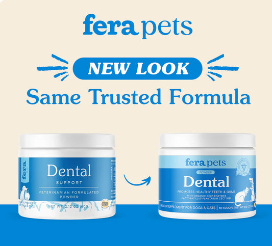 Dental Support