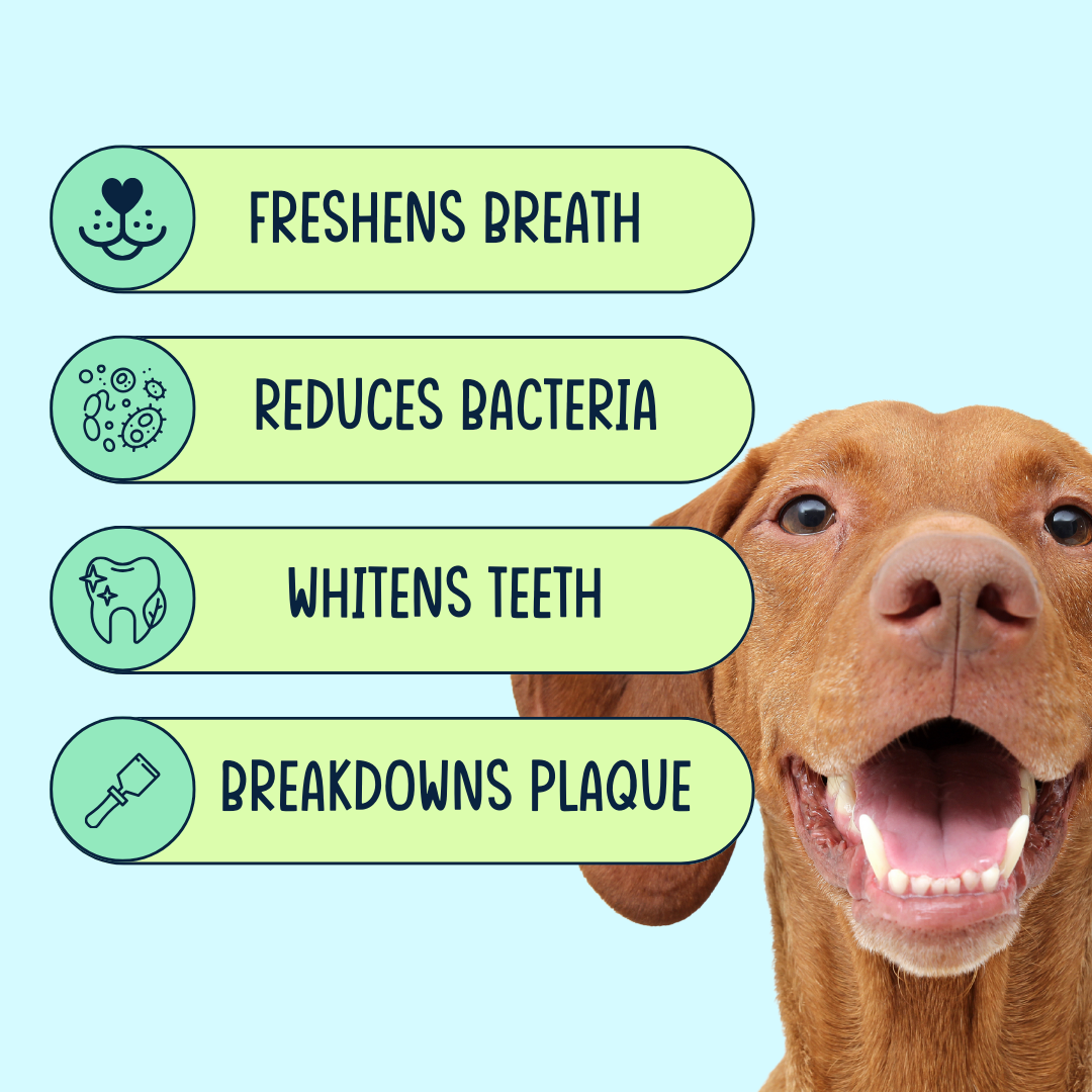 Dental Dust Dental Powder for Dogs - 60 Scoops