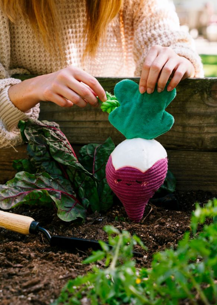Crinkle Crops - Radish