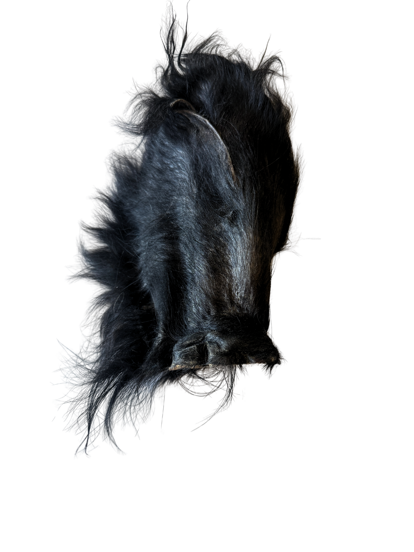 Grass-Fed Beef Ear (Hairy - JUMBO)