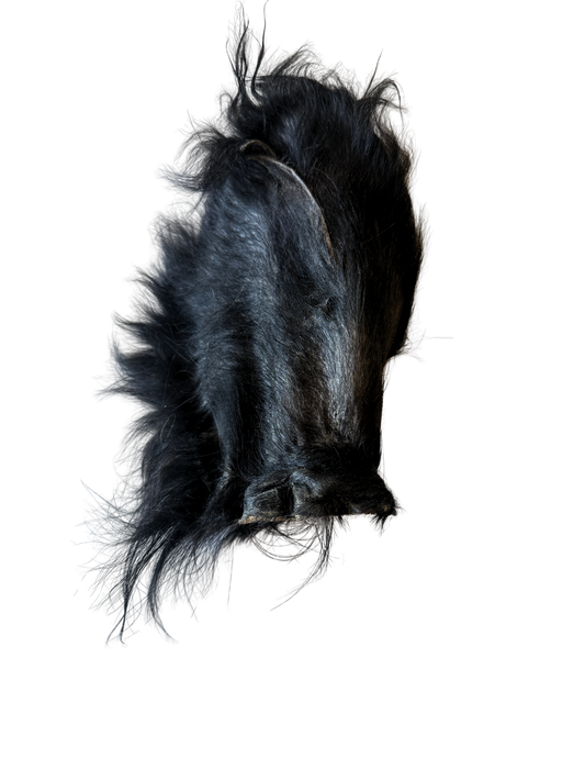Grass-Fed Beef Ear (Hairy - JUMBO)