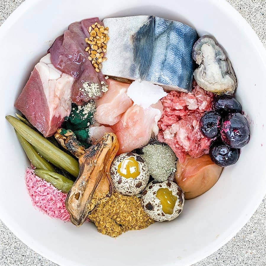 Green Lipped Mussels (+Freeze Dried Options)