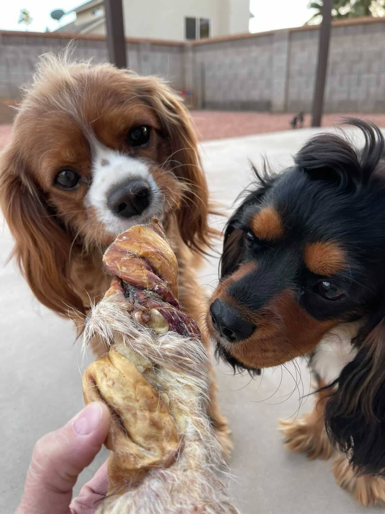 Rabbit Rawhides (Baguettes, Braids & Twists)