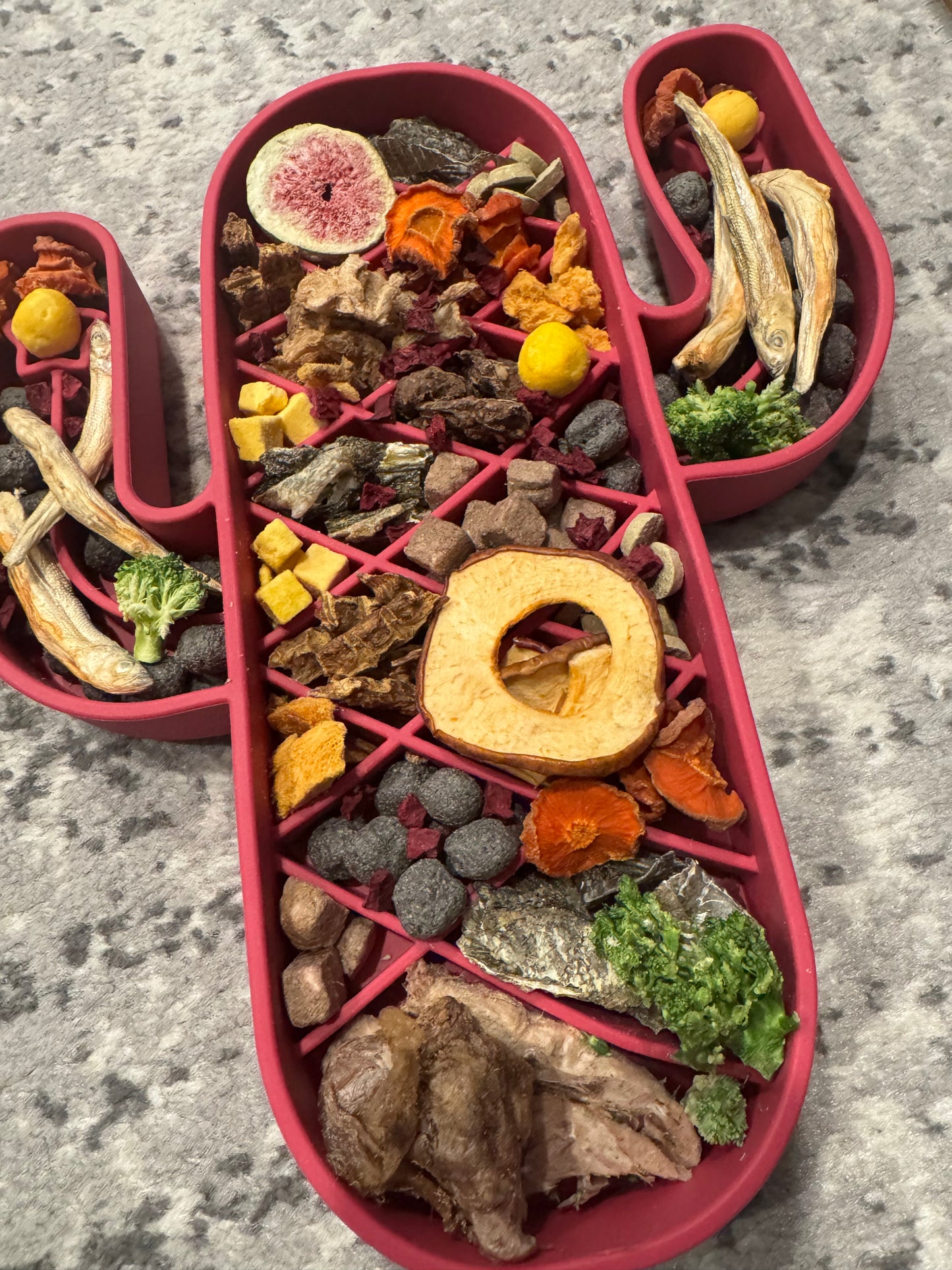 Cactus feeder charcuterie