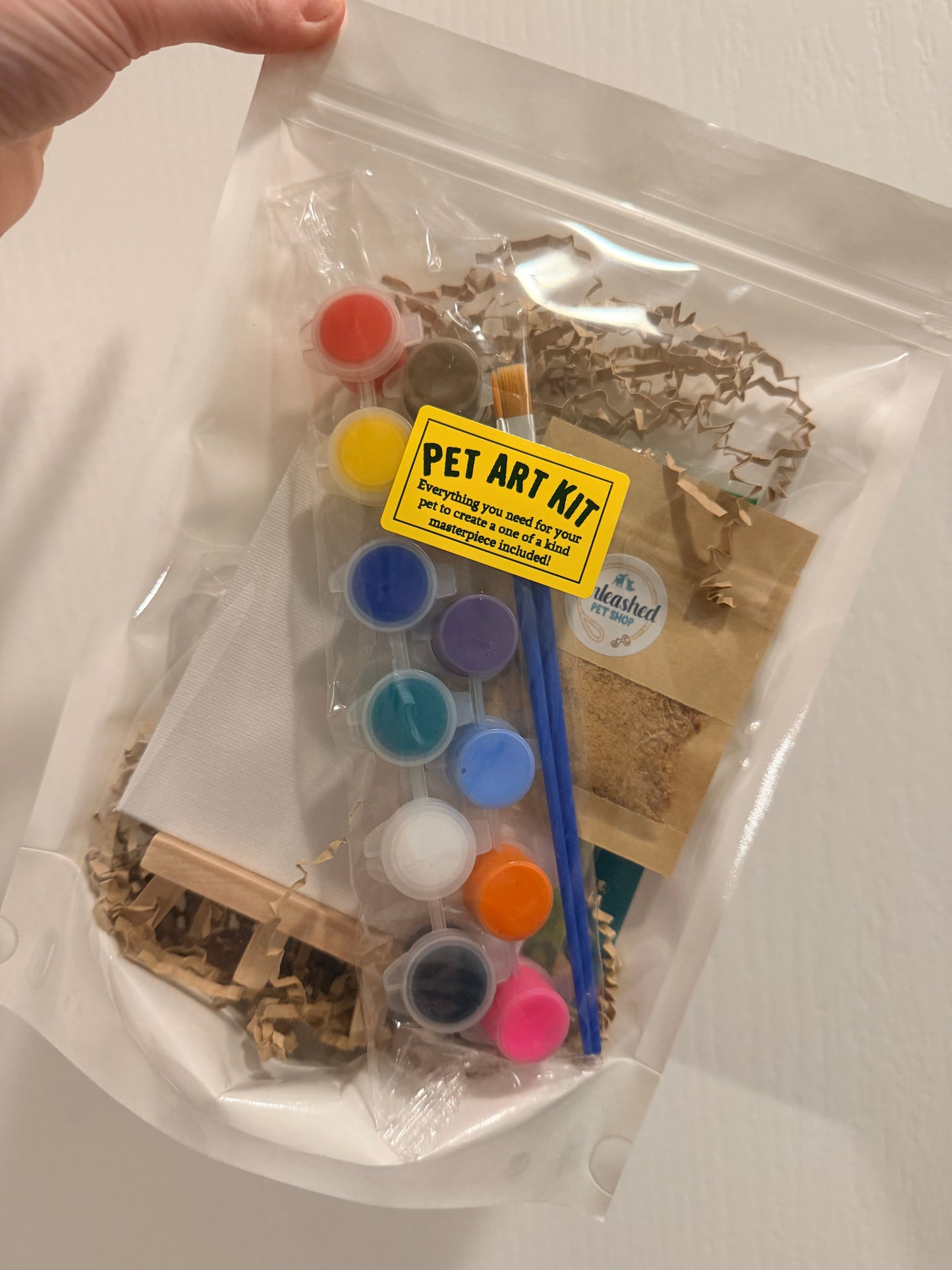 Pet Art Kit