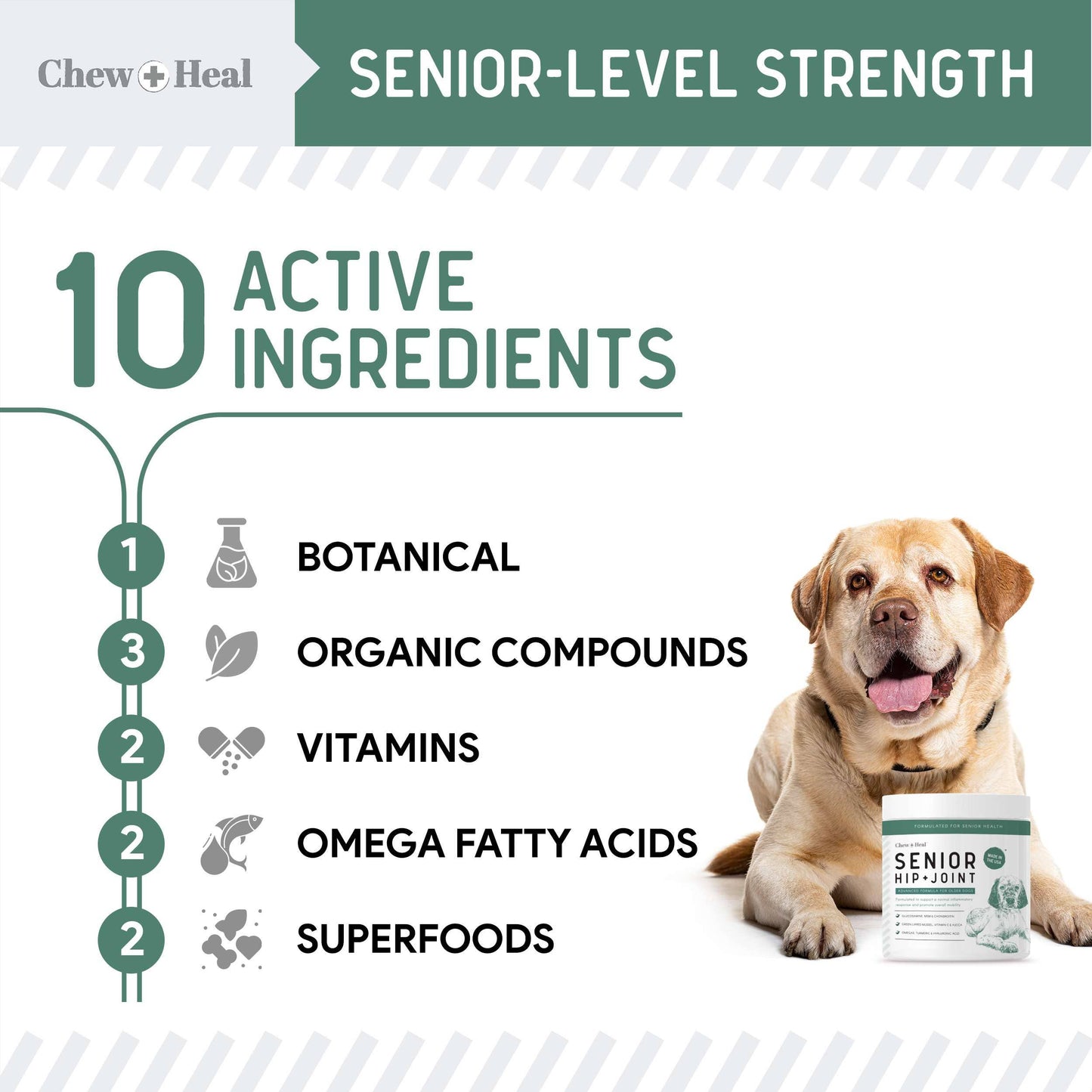 Senior Advanced Hip and Joint Soft Chews - Upgraded Formula