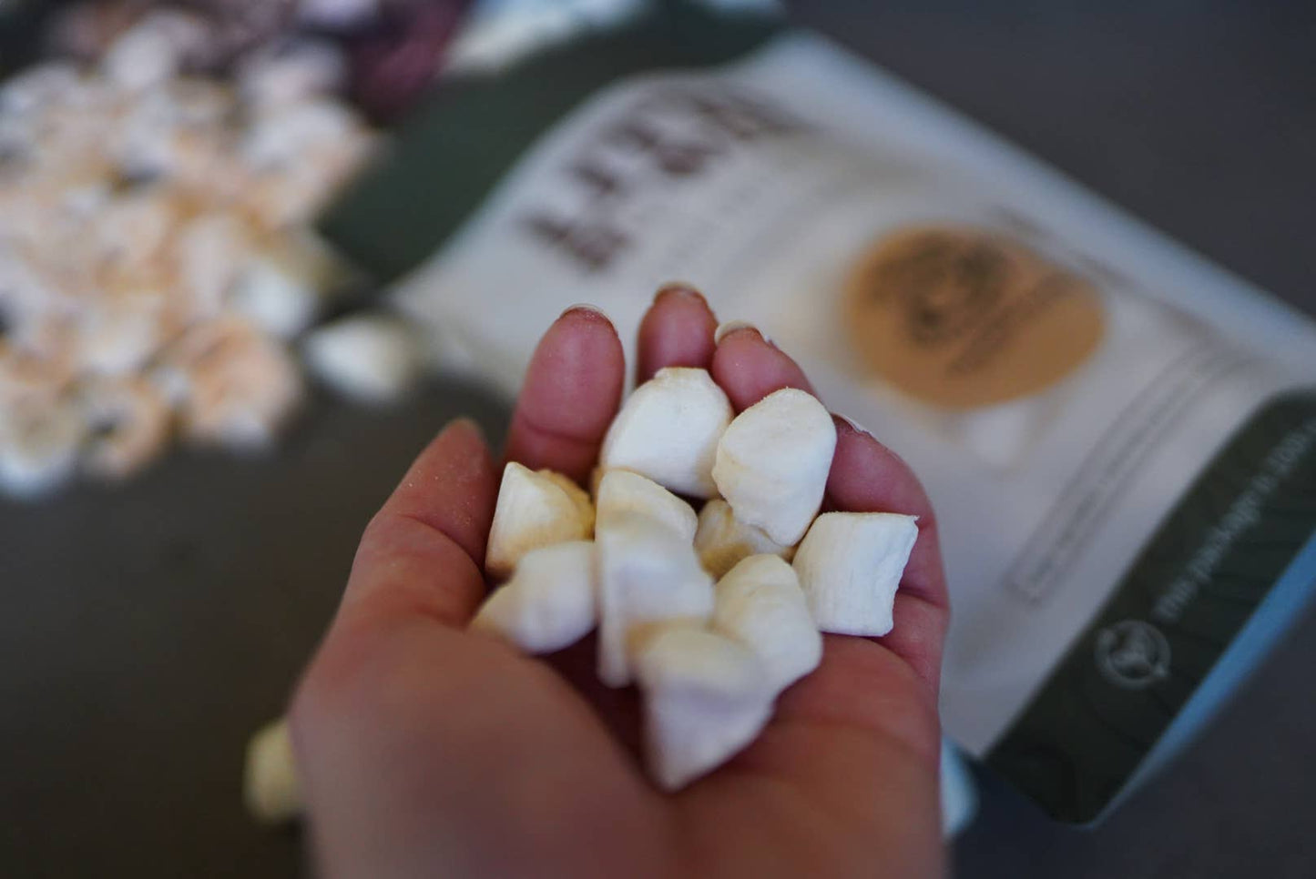 Freeze-Dried Scallop | 1.5 oz