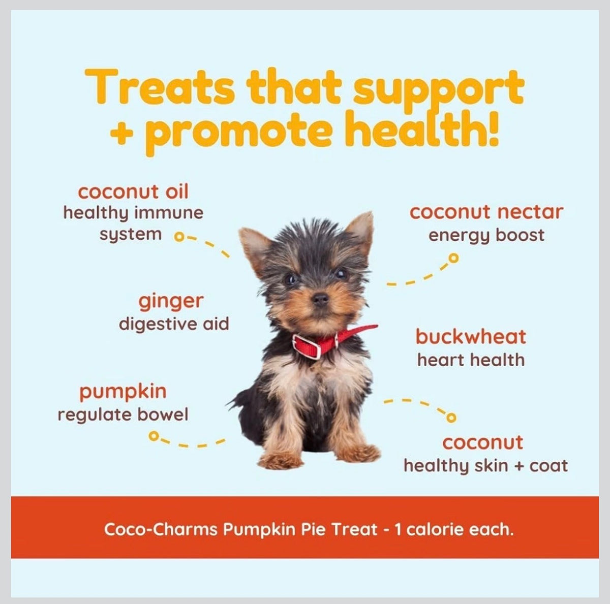 Coco Charms- Pumpkin Pie!