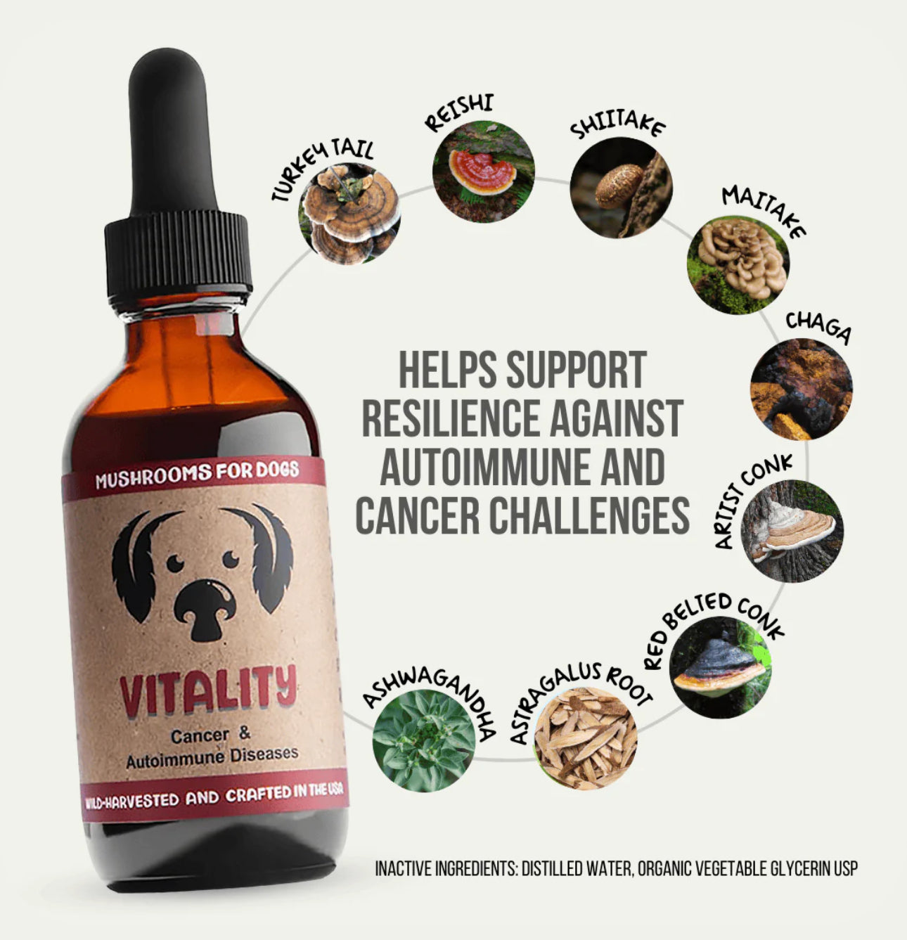 MycoDog Vitality