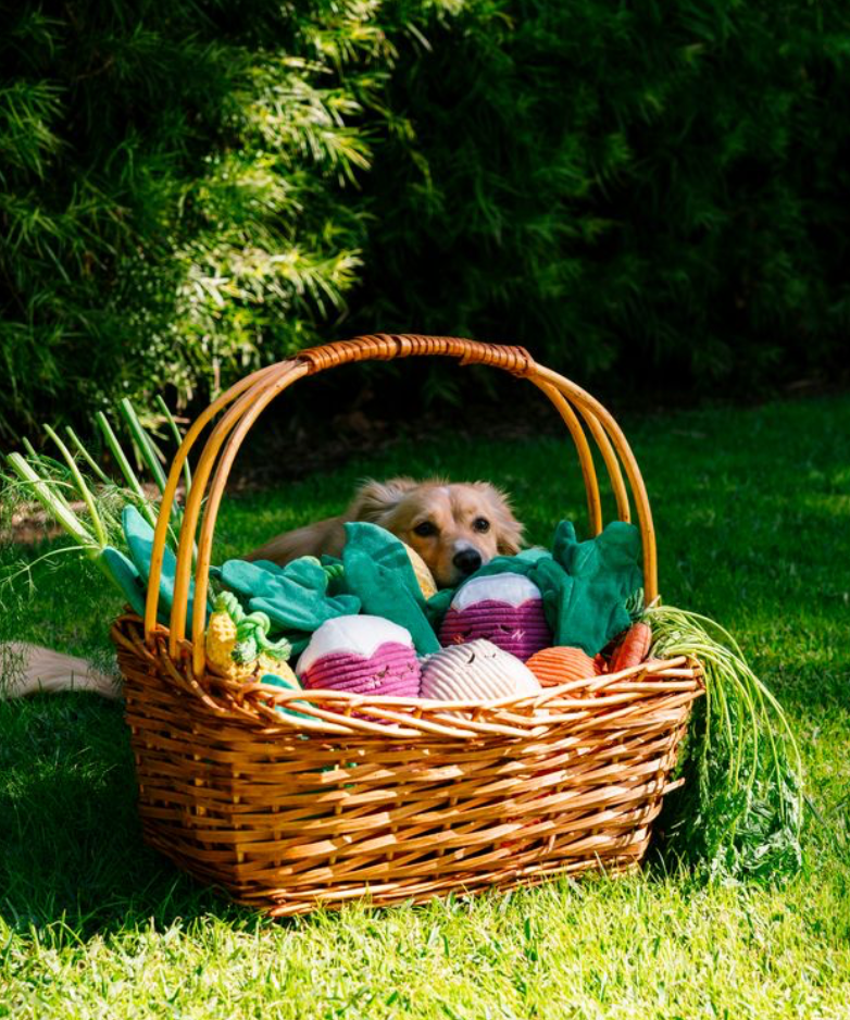 Crinkle Crops - Radish
