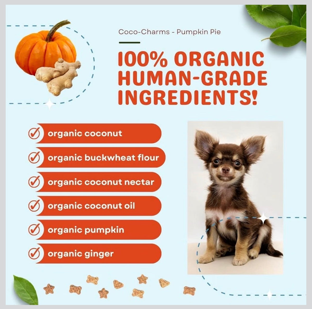 Coco Charms- Pumpkin Pie!