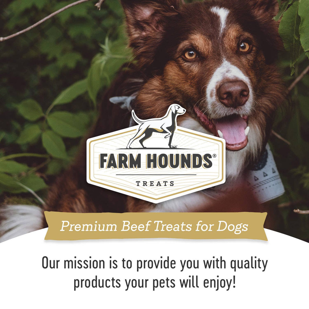 Beef Ear with Hair - Bulk Chew - All-Natural Dog Treats