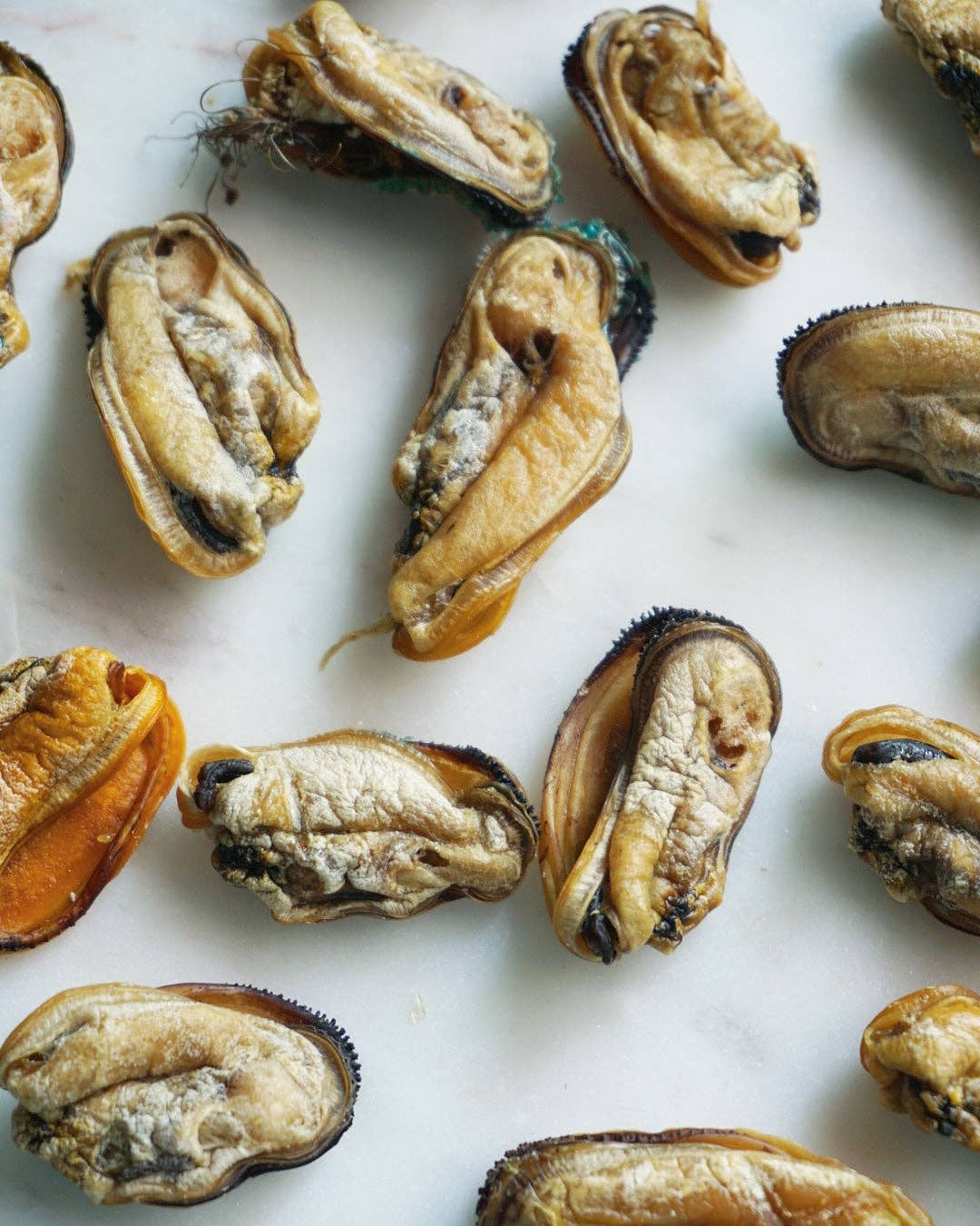Green Lipped Mussels (+Freeze Dried Options)
