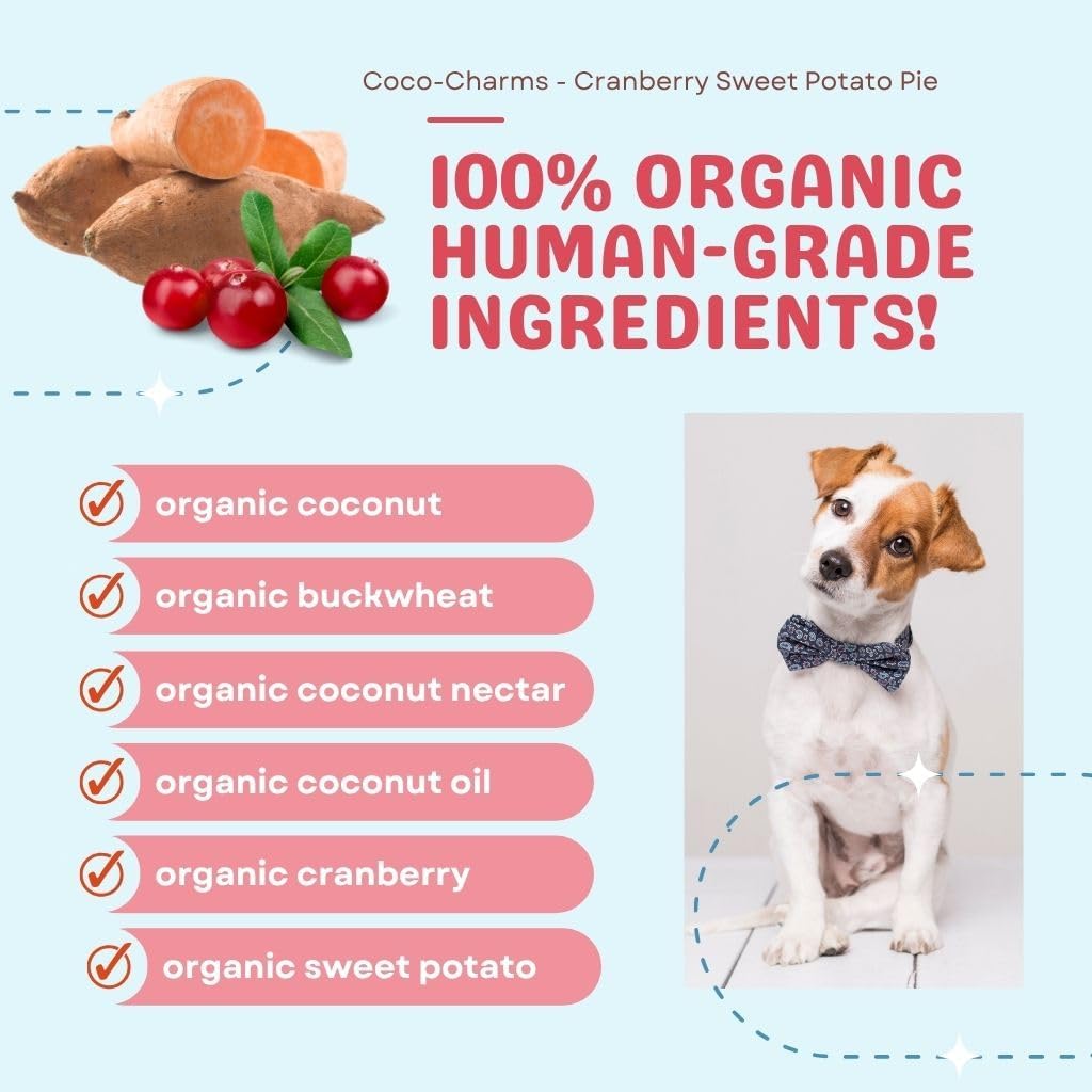 CocoTherapy Coco-Charms Training Treats, 100% USDA Certified Organic, Non-GMO, Vegan, 100% Human Grade, Cranberry Sweet Potato Pie, 5 oz.