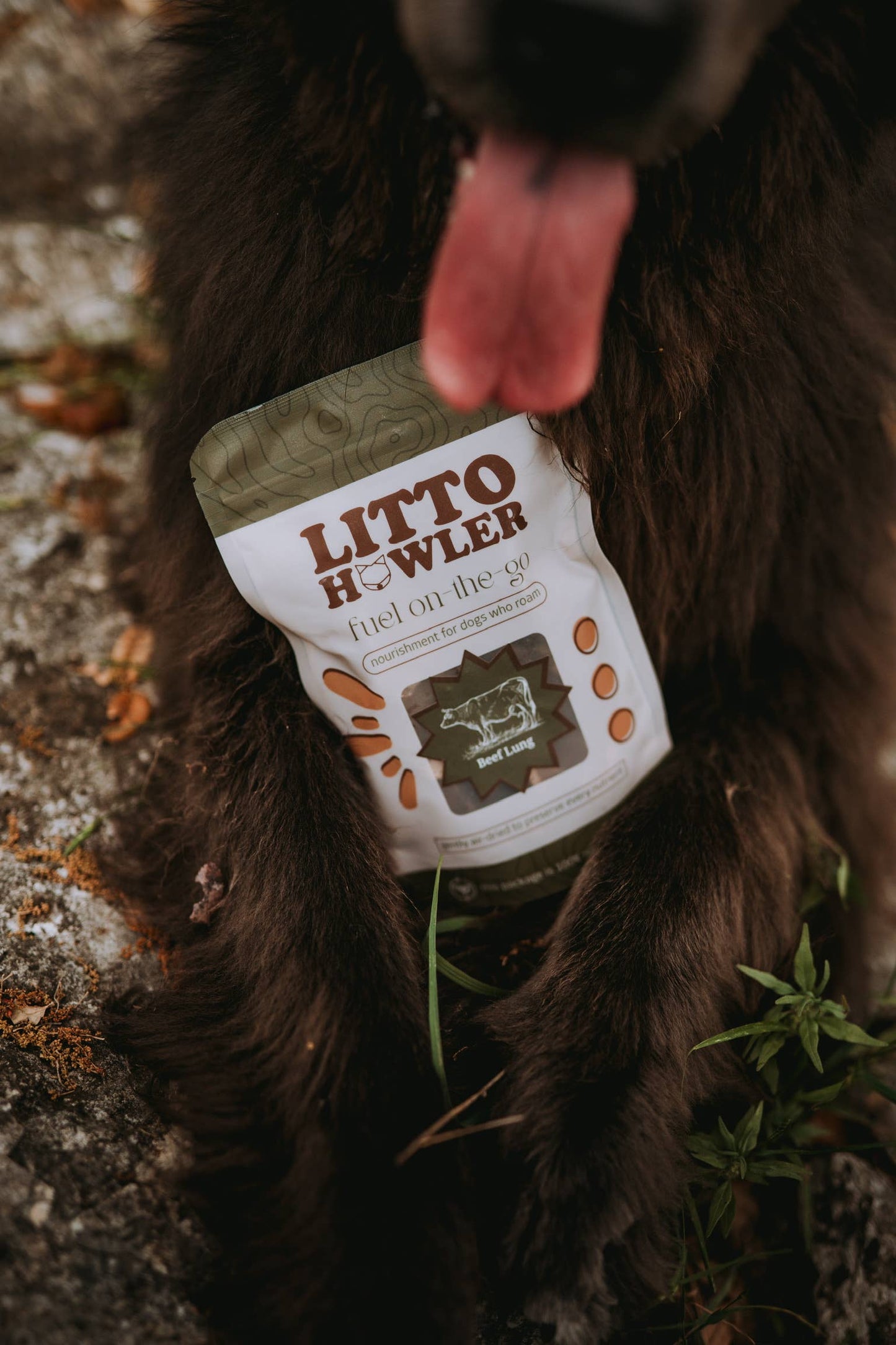 Beef Lung | 4 oz
