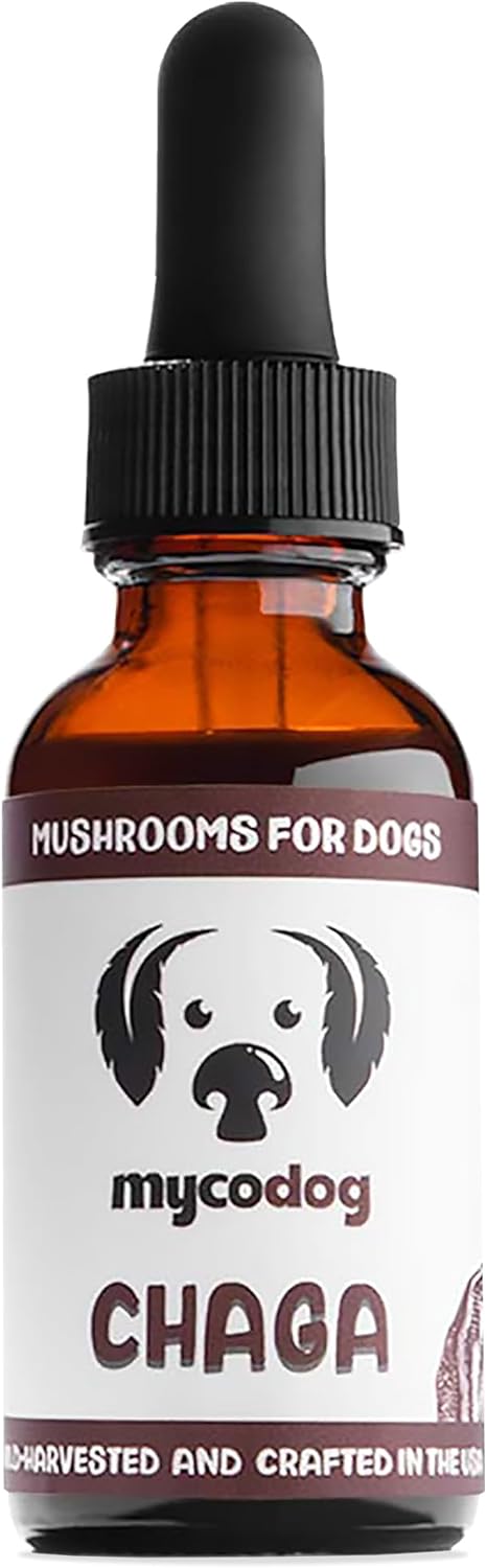Chaga Tincture: Dual Extracted Mushroom Dog Supplements - Defenses, Cellular Wellness, Skin, Coat, Liver, and Antioxidant Support - Wild-Harvested, Bioavailable, & Easy to Serve