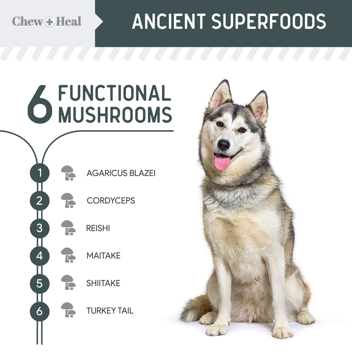 Immune Support Mushroom Complex Soft Chews 90ct.