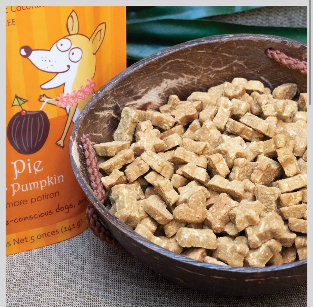 Coco Charms- Pumpkin Pie!