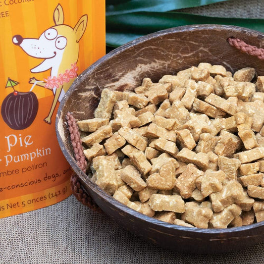 Cocotherapy Coco-Charms Training Treats – Pumpkin Pie, (1 Pouch), 5 Oz.