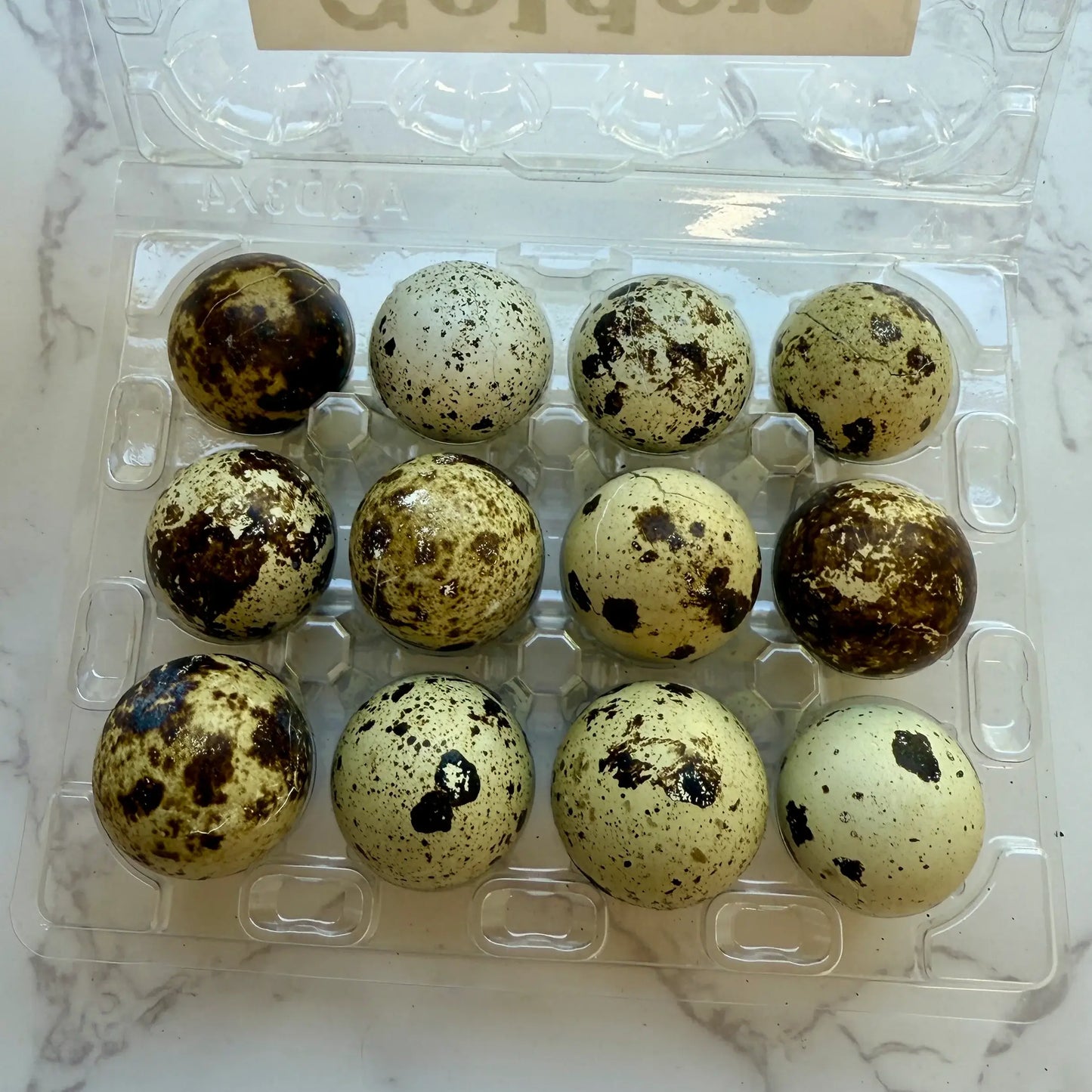 Quail Eggs - Dozen Freeze Dried - Dogs & Cat