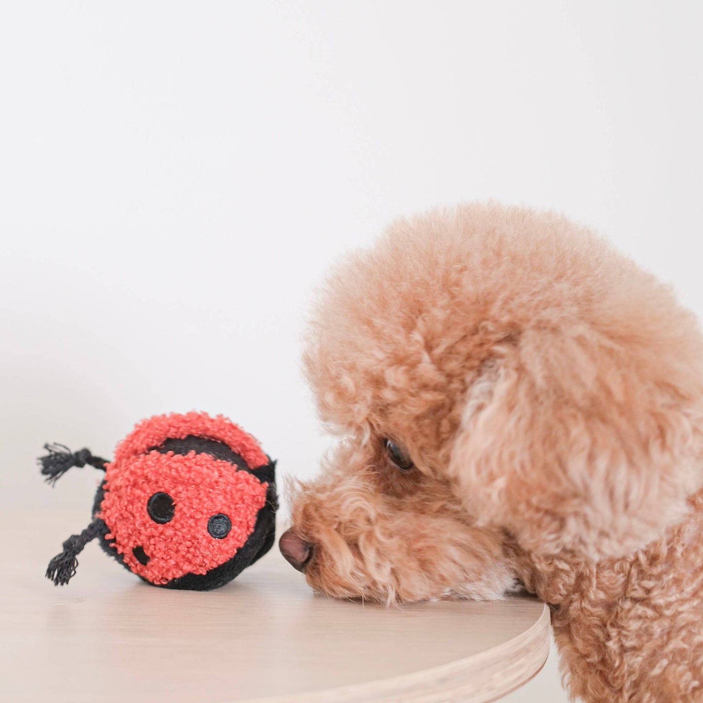 GARDEN SET // ENRICHMENT TOY SET// SNUFFLE TOY