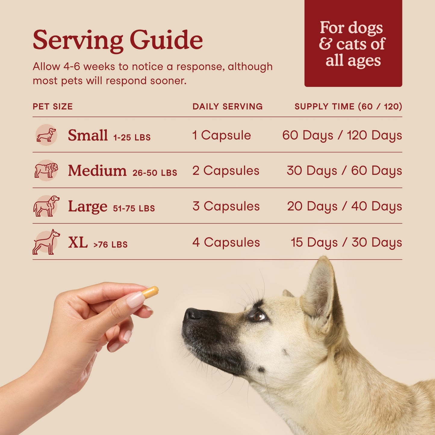 Fera Pets Cardiac Supplement for Dogs & Cats – 120 Capsules - Vet Created -Cardiovascular Function & Strength-Taurine, CoQ10, Organic Hawthorne Berry