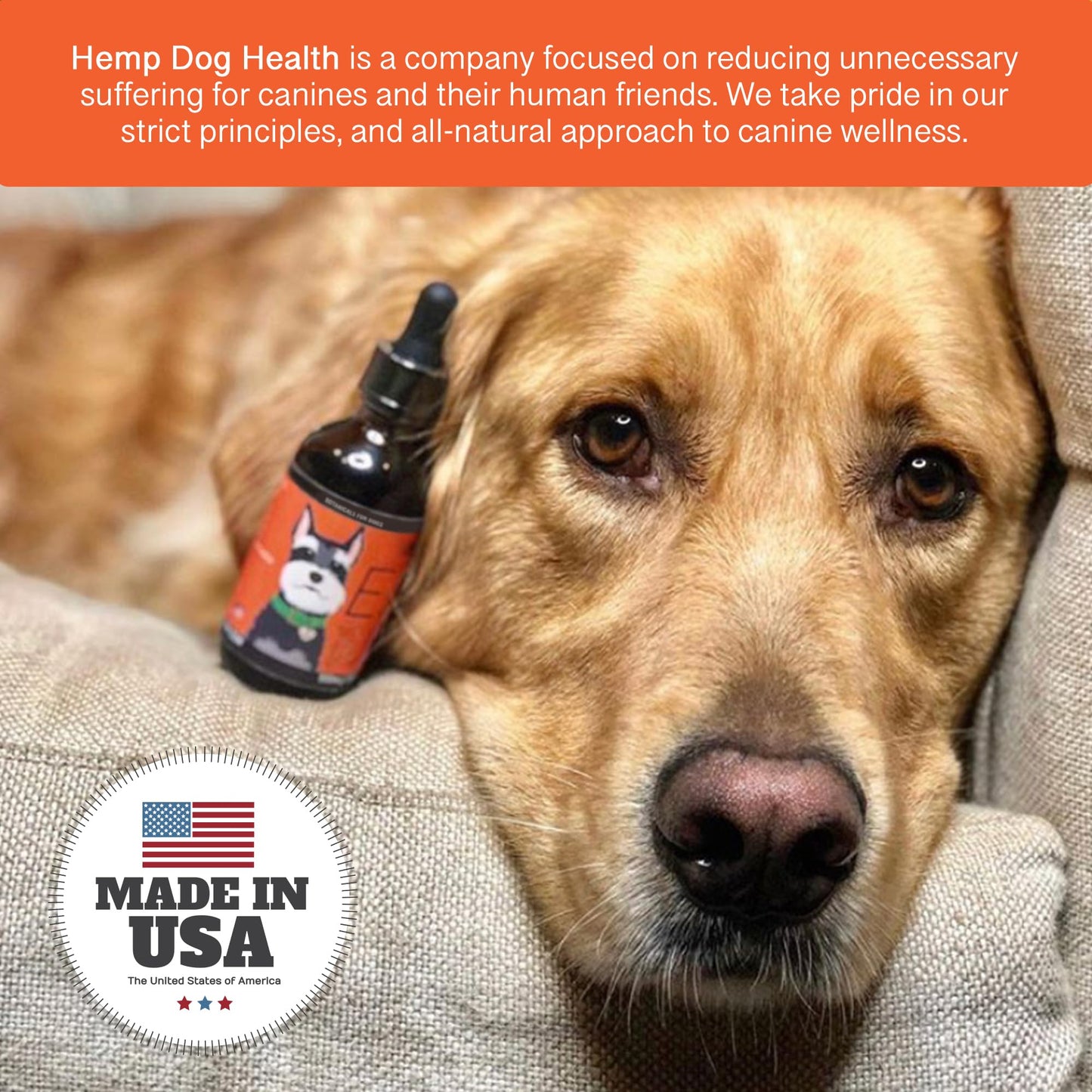 Ease - Hemp Oil for Dogs - Hemp Oil for Canine Mobility, Breathing, Skin, & Daily Comfort - Balance & Defenses - 100% Natural Drops