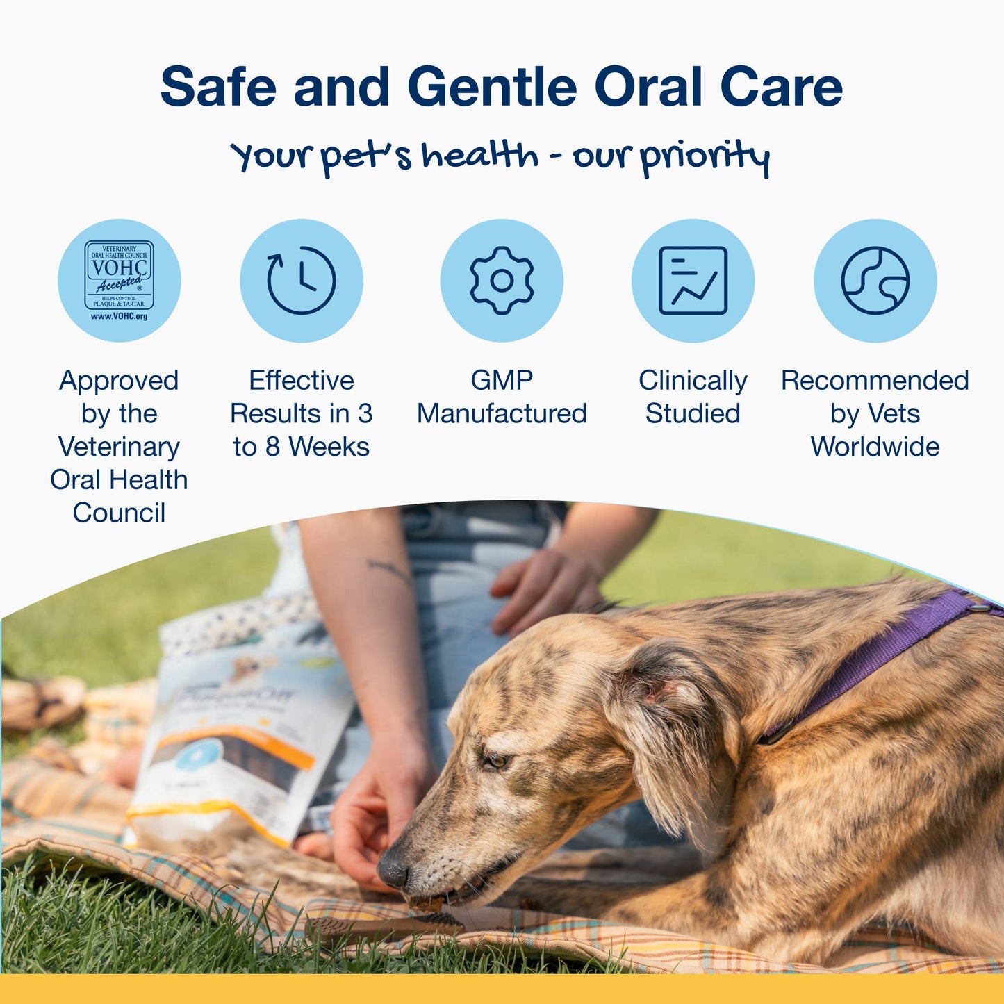 ProDen PlaqueOff System® Mini Dental Care Bones - Banana