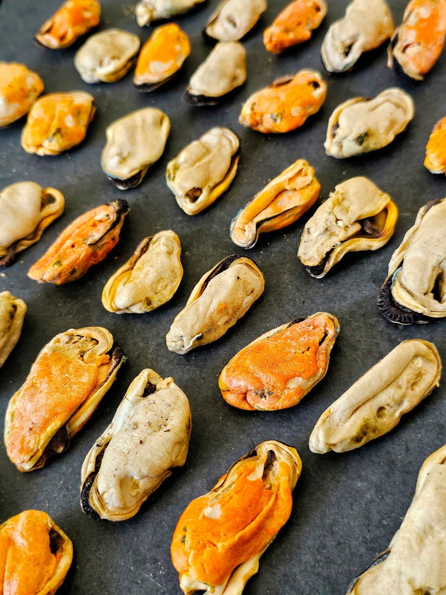 Green Lipped Mussels (+Freeze Dried Options)