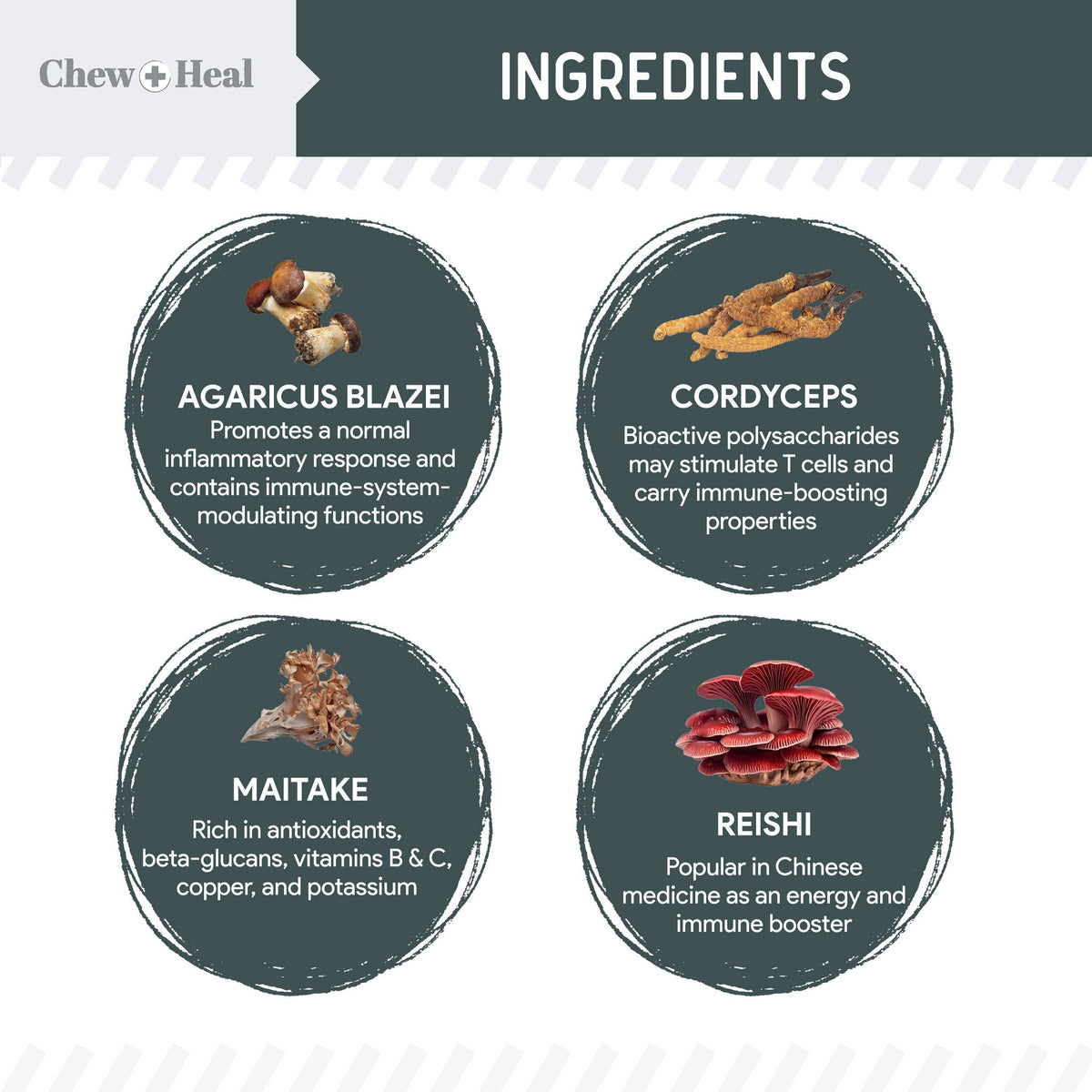Immune Support Mushroom Complex Soft Chews 90ct.