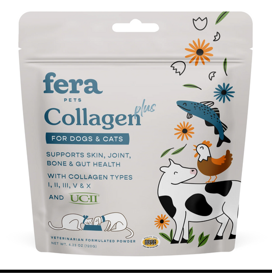 Collagen Plus