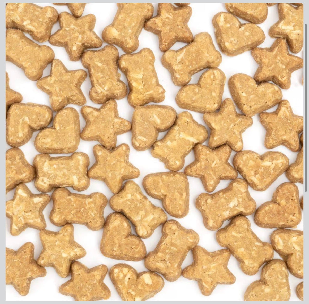 Coco Charms- Pumpkin Pie!