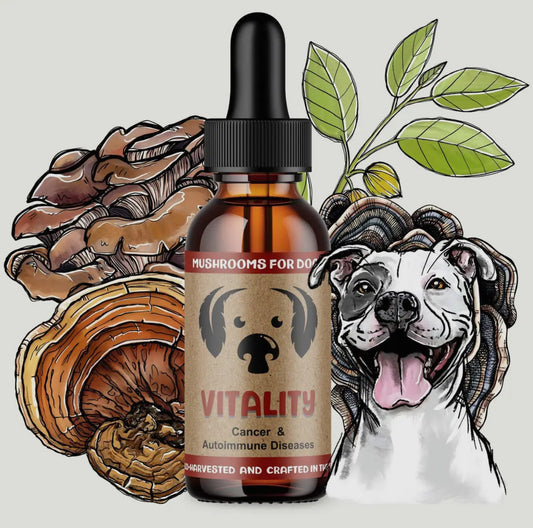 MycoDog Vitality