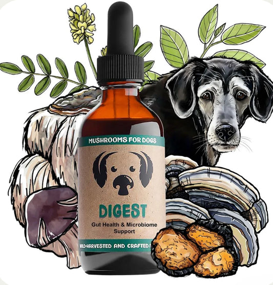 Digest by Mycodog