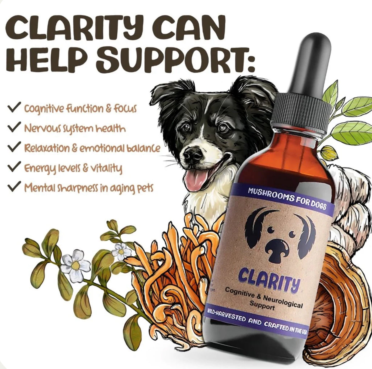 Mycodog Clarity