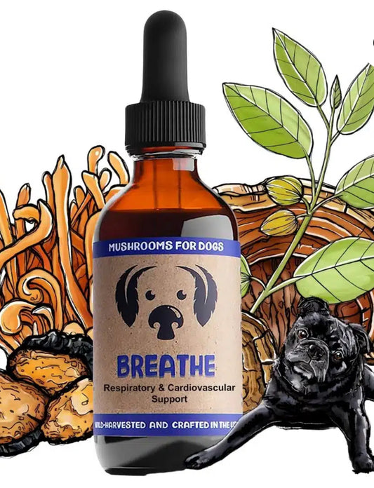 Breathe by Mycodog
