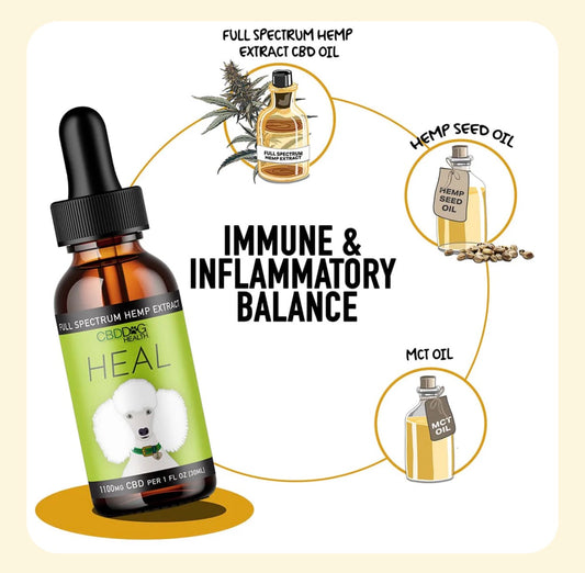 HEAL: Immune & Inflammatory Balance for Dogs
