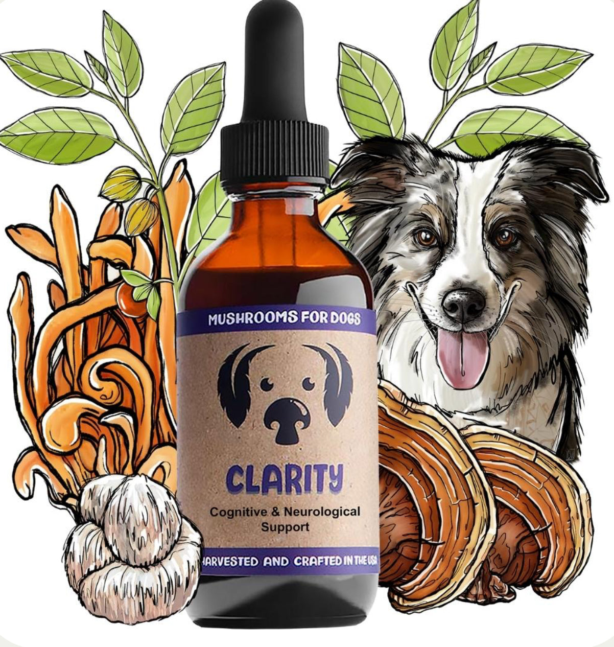 Mycodog Clarity