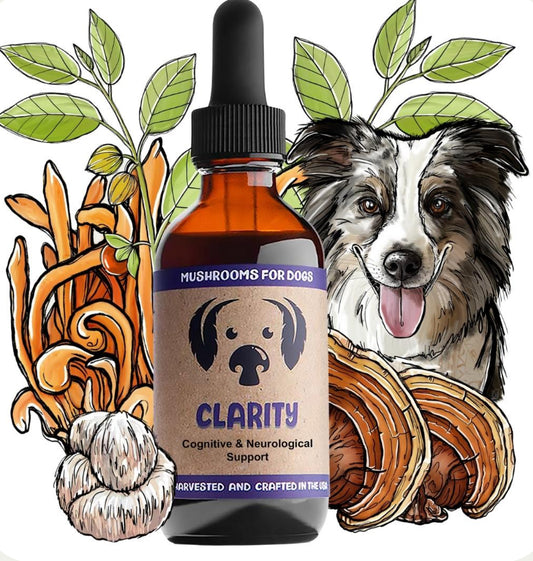 Mycodog Clarity