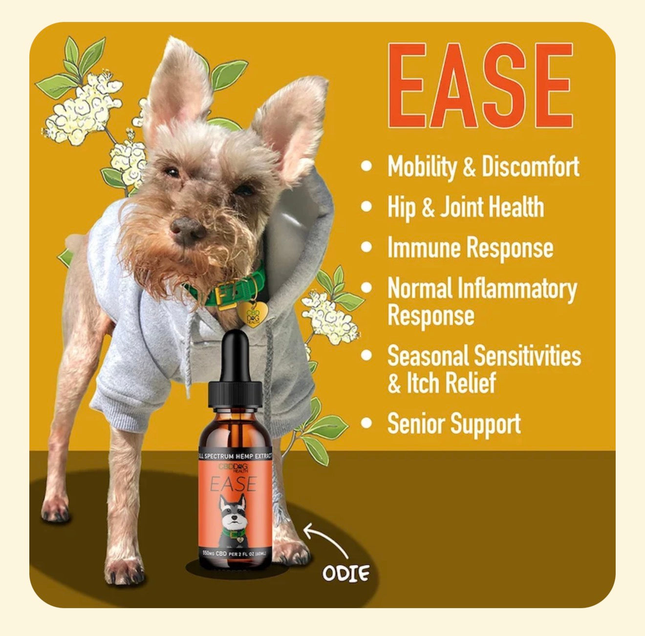 EASE: Mobility & Itchy Dogs