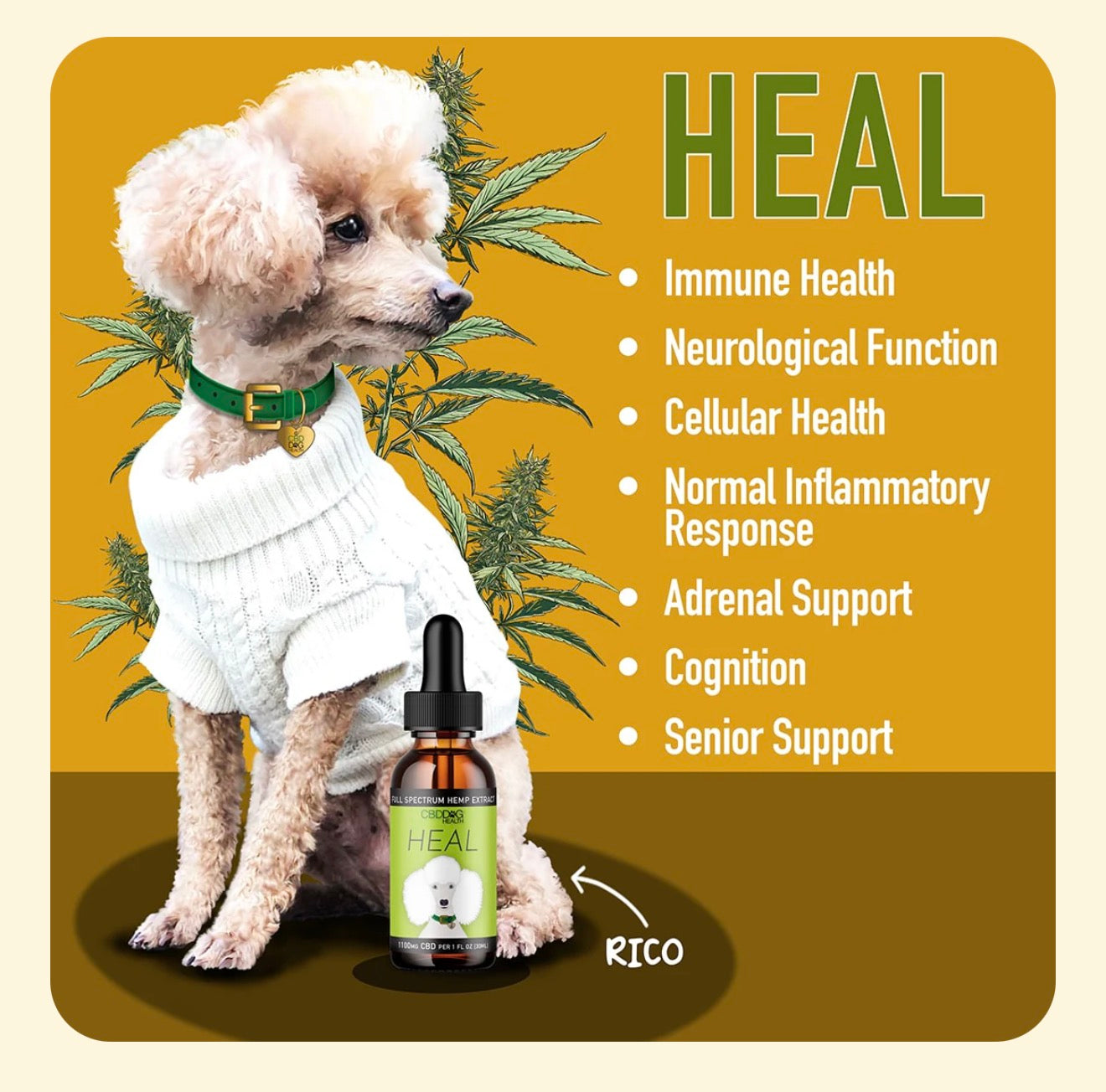 HEAL: Immune & Inflammatory Balance for Dogs