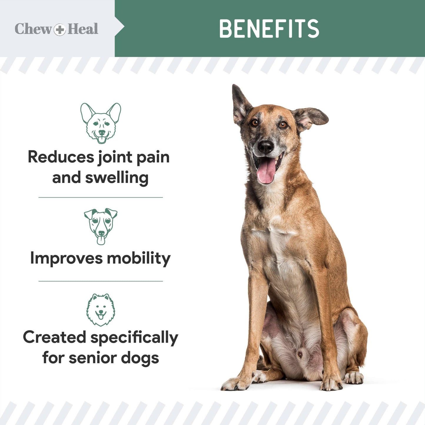 Senior Advanced Hip and Joint Soft Chews - Upgraded Formula