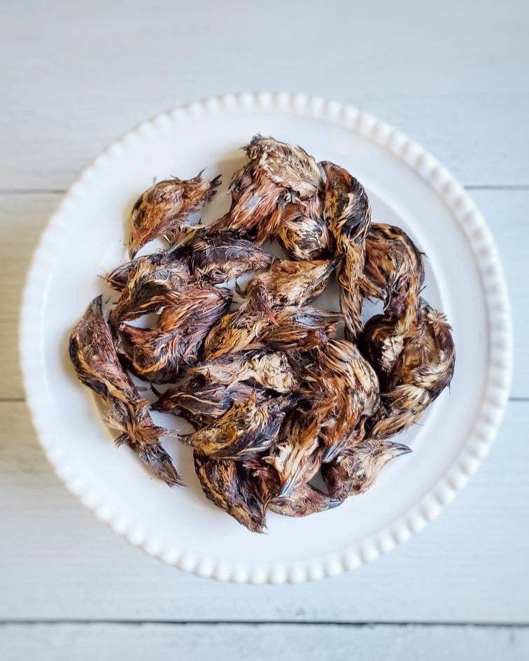 Quail Heads (Feathered)