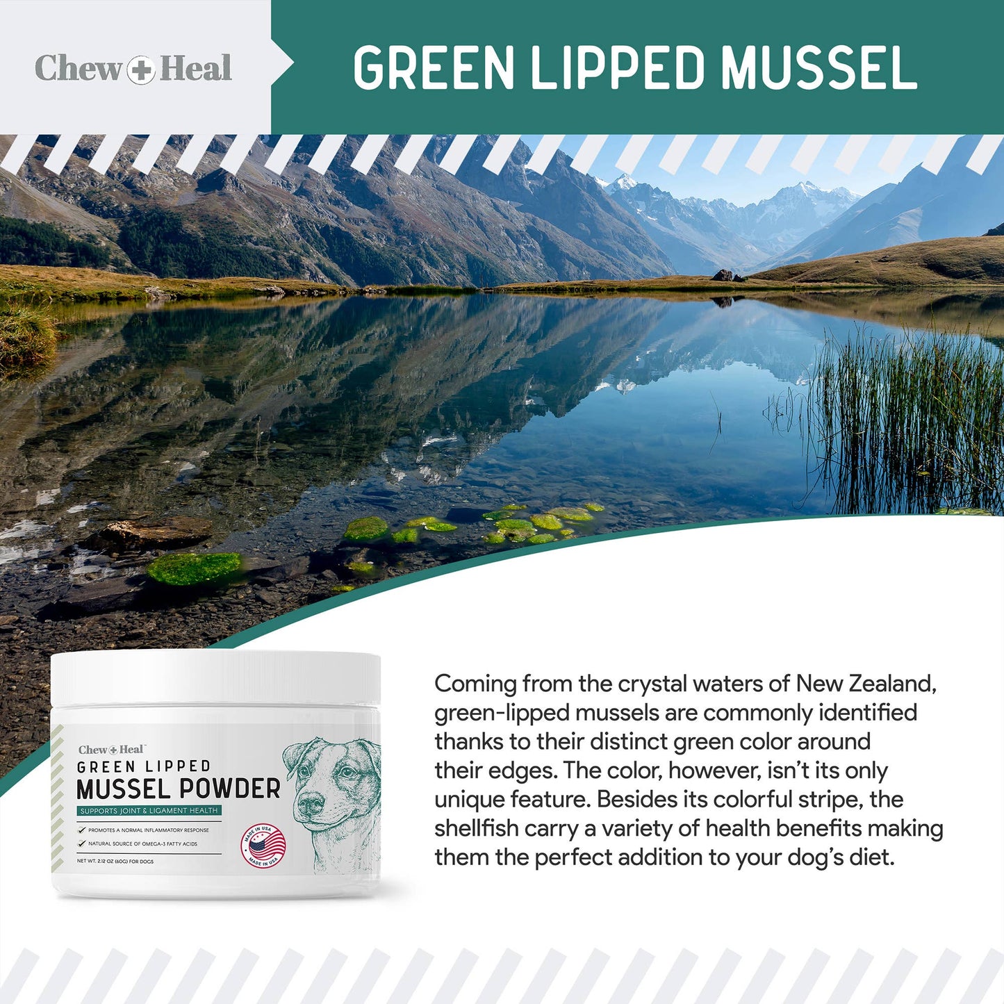 Green Lipped Mussel Powder for Hip & Joint