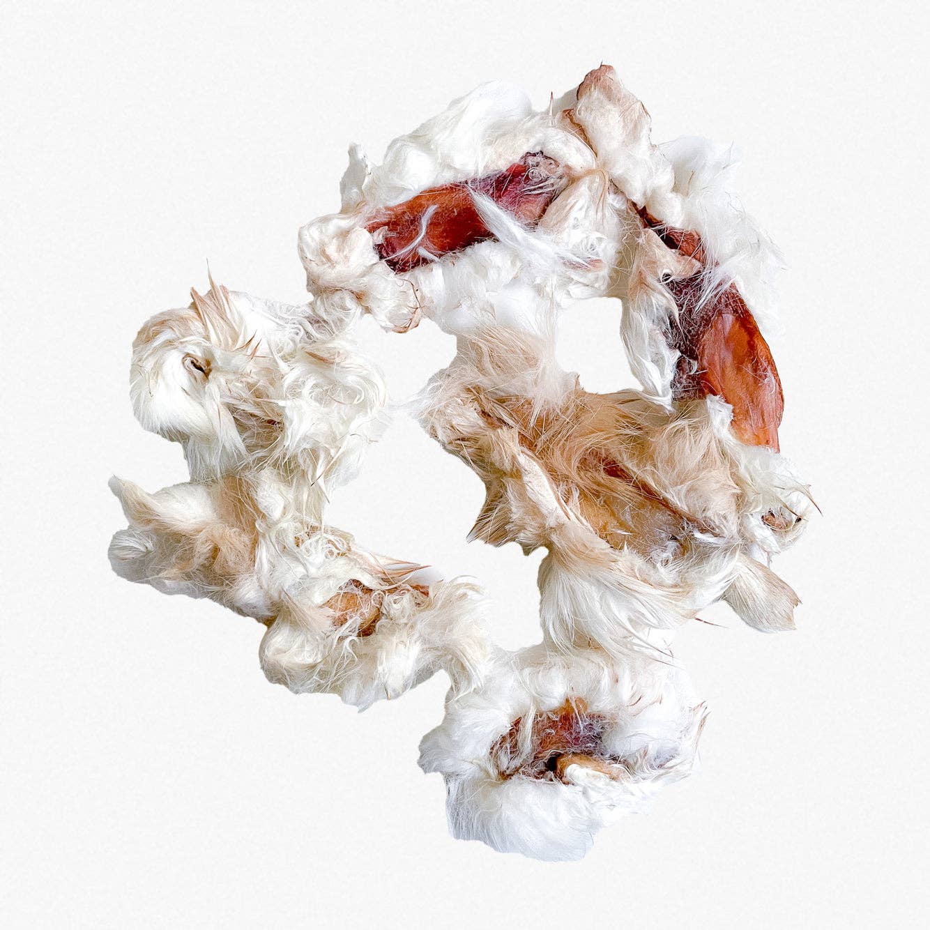 Dehydrated Rabbit Hide Chips