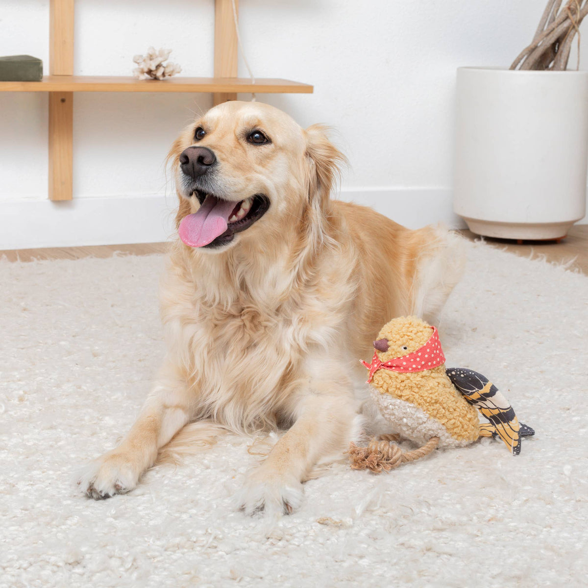 MS BIRDIE MIXED MATERIAL DOG TOY