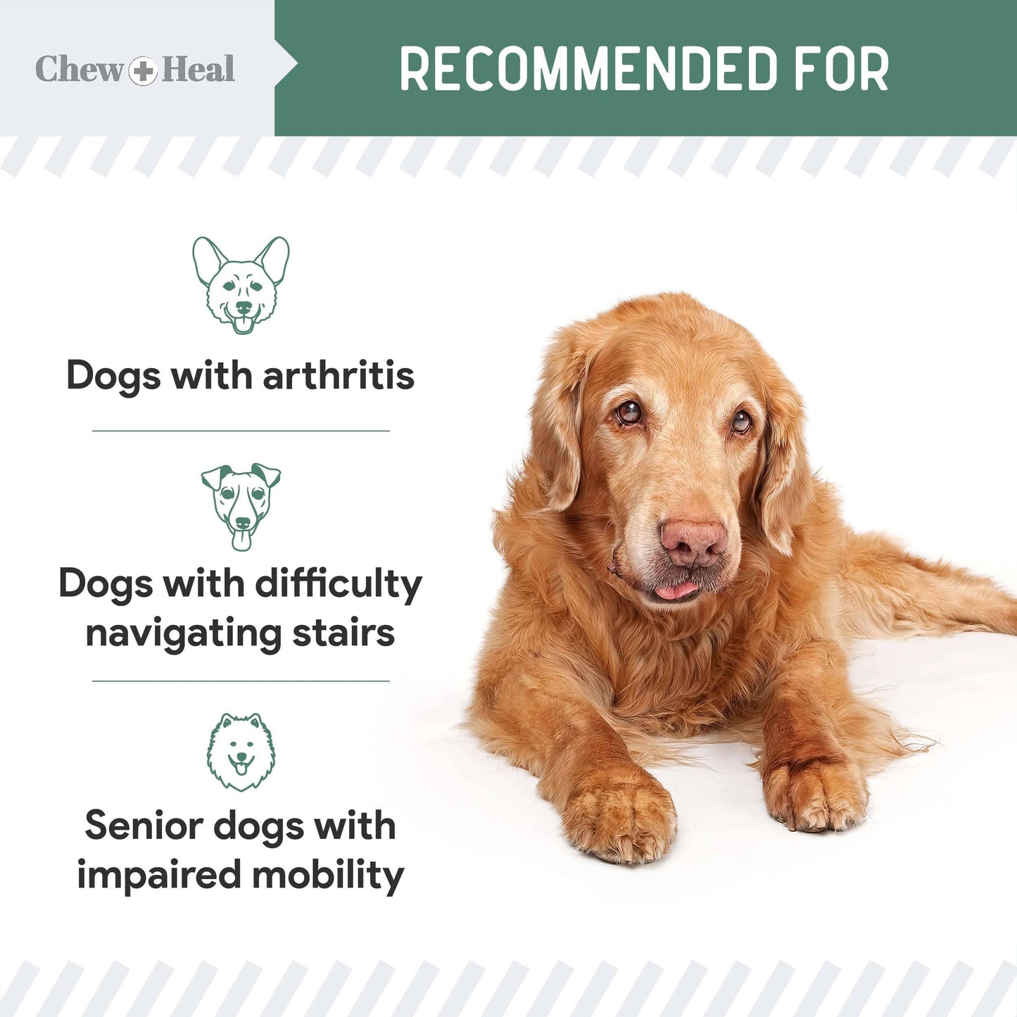 Senior Advanced Hip and Joint Soft Chews - Upgraded Formula