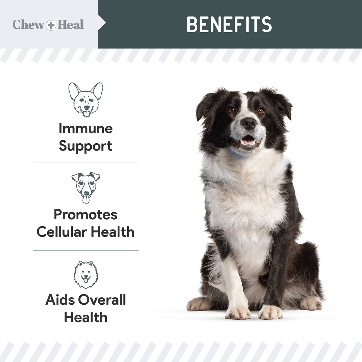 Immune Support Mushroom Complex Soft Chews 90ct.