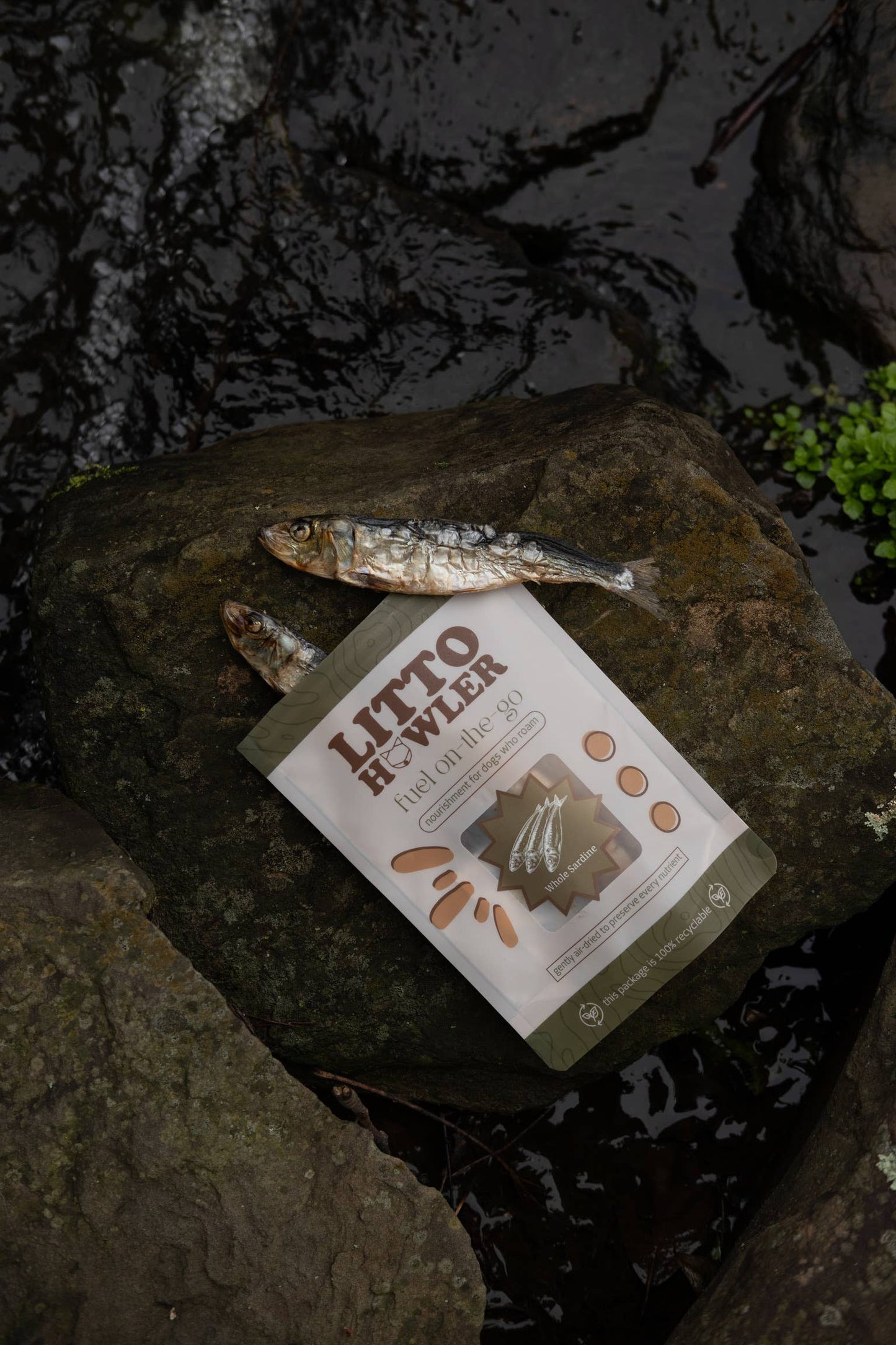 Whole Sardines | 6 oz